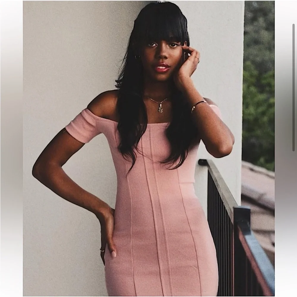 🆕(NWT) ZARA Bloggers Fav Blush Pink Off-The-Shoulder Sheath Midi/Maxi Dress. LG - Picture 3 of 15